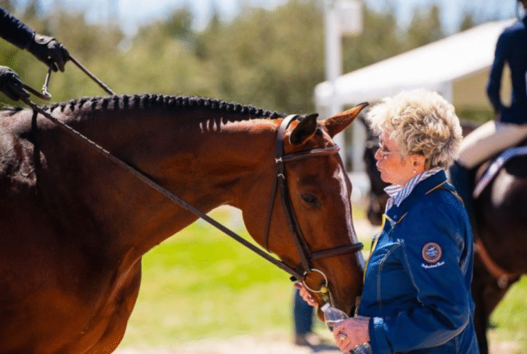 The Connection Between Horses and Riders: a Deep Dive Into Jockey-Horse Relationships
