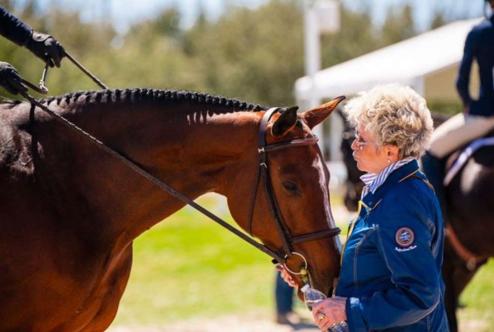 The Connection Between Horses and Riders: a Deep Dive Into Jockey-Horse Relationships