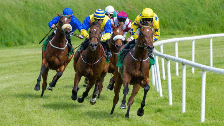 The Different Types of Horse Racing – A Guide to Flat, Jump, and Harness Racing