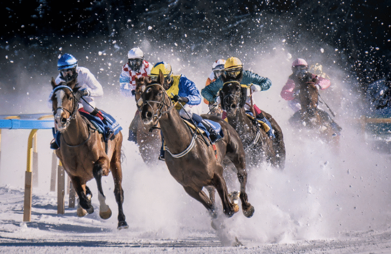 The Environmental Impact of Horse Racing: What Are the Sustainability Challenges?