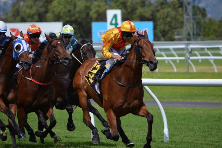 The Ethics of Horse Racing: Navigating Controversy and Debate