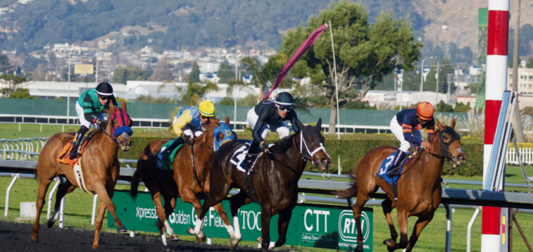The Evolution of Horse Racing Tracks: Then vs. Now