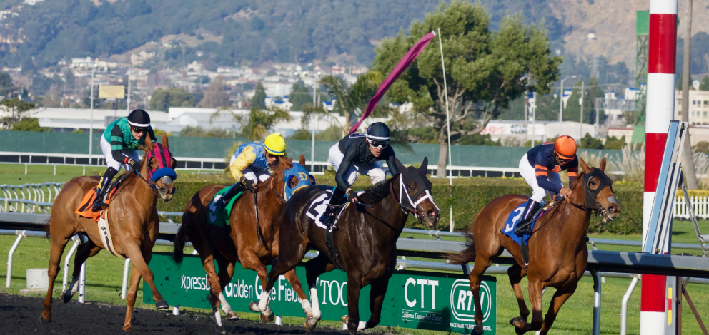 The Evolution of Horse Racing Tracks: Then vs. Now