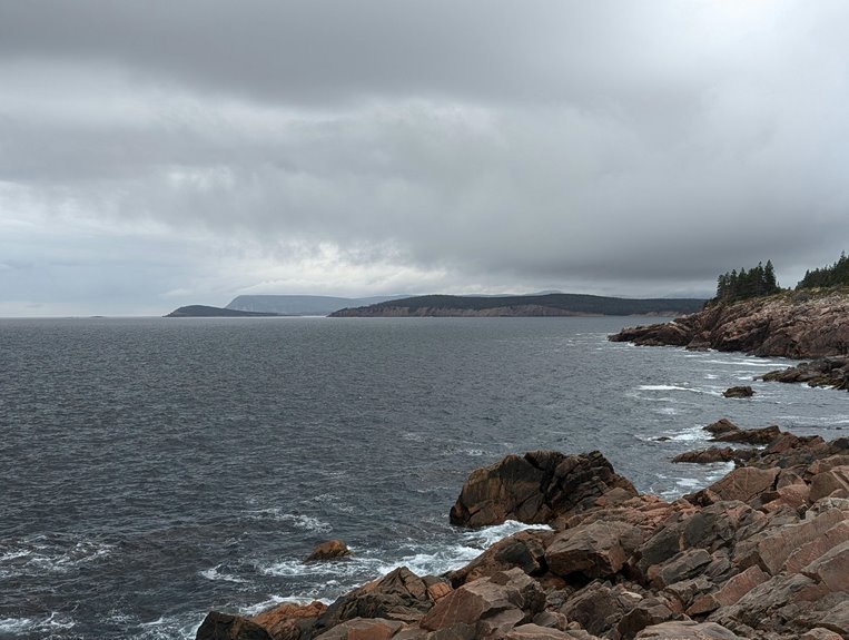 dynamic nova surge vector